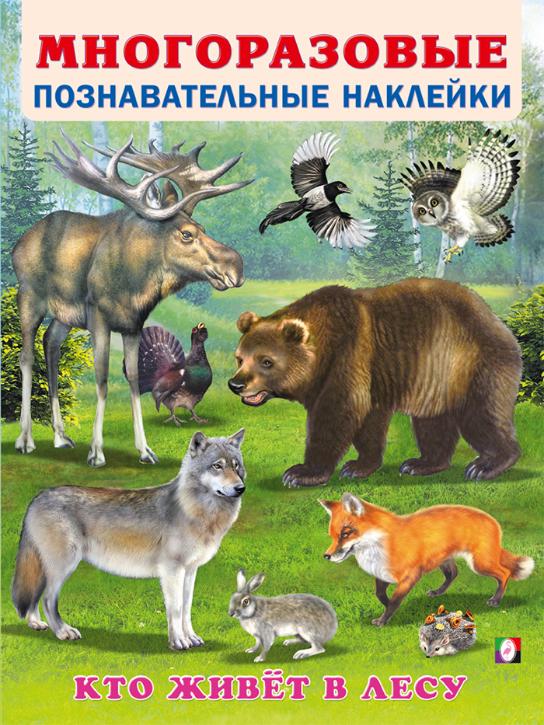 Пабло Рохас: Док является ключом к познанию других культур и народов